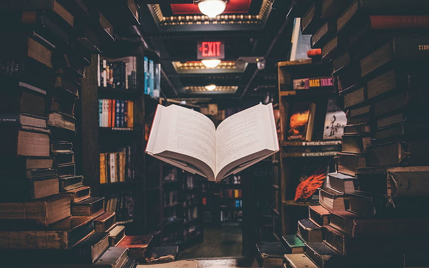 fondo de libros de biblioteca