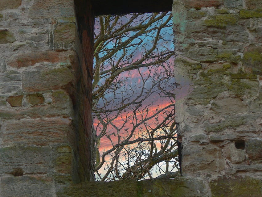 古い窓、自然、窓 高画質の壁紙