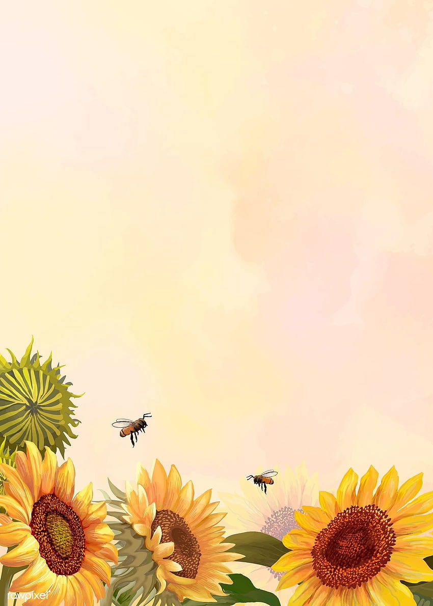 Premium-Vektor der handgezeichneten Sonnenblume auf gelbem Hintergrund. Wie man Hände zeichnet, Sonnenblume, Sonnenblumenkunst, Aquarell-Sonnenblume HD-Handy-Hintergrundbild