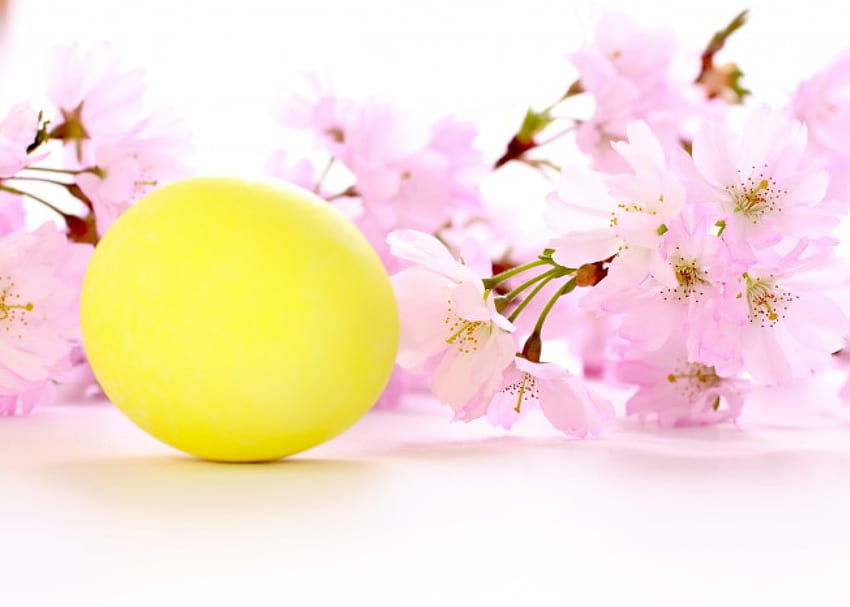 Easter Time, easter, flowers, spring, eggs, blossom HD wallpaper