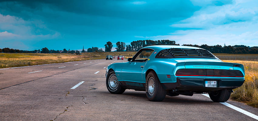 Dodge, blue, rear view, muscle cars HD wallpaper