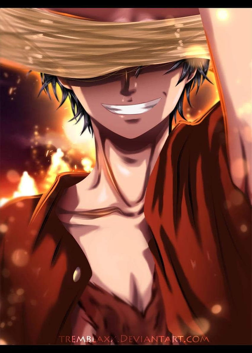 Luffy. One Piece. Ilustrasi poster, Ilustrasi komik, Gambar tokoh, Pirate King HD phone wallpaper