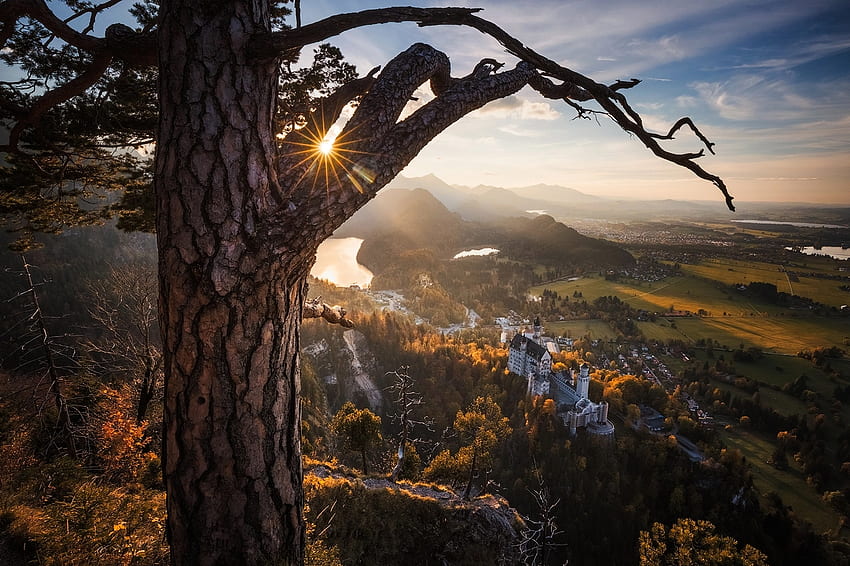 Baviera Neuschwanstein, raggi, paesaggio, Baviera, Neuschwanstein, albero, pino, natura, castello, montagne, sole Sfondo HD