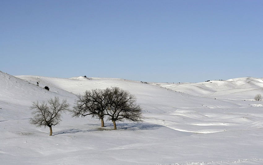 Снежен пейзаж. Снежен пейзаж HD тапет