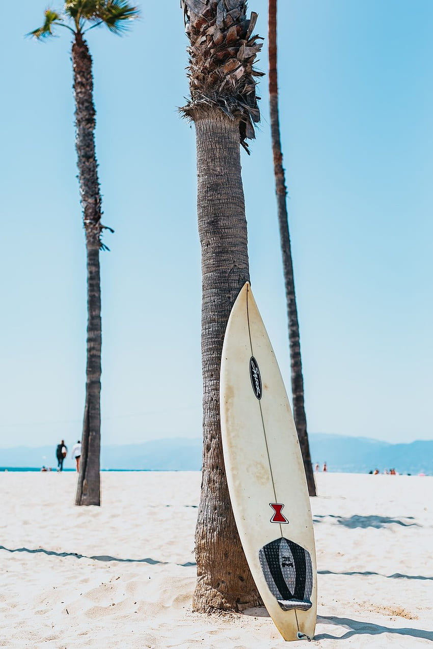 Papan selancar [HQ], Surfer iPhone wallpaper ponsel HD