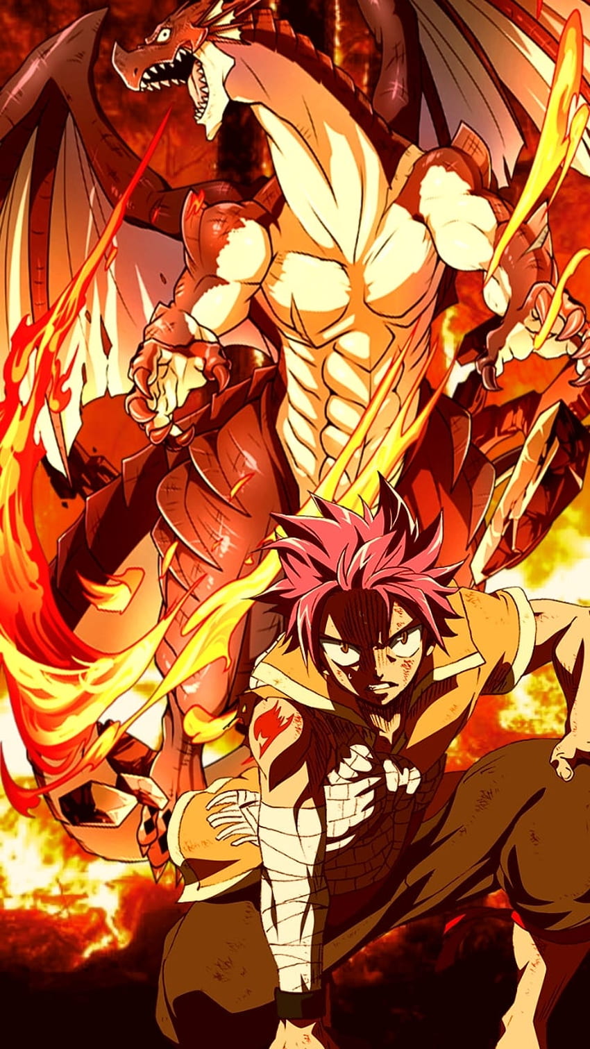 Natsu Dragneel, peri kuyruğu, anime HD telefon duvar kağıdı