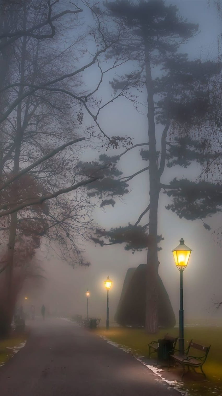 公園, 霧, 道, 街灯, ベンチ, 木, 夜, iPhone 8 7 6 6S, 背景, , 霧の通り HD電話の壁紙