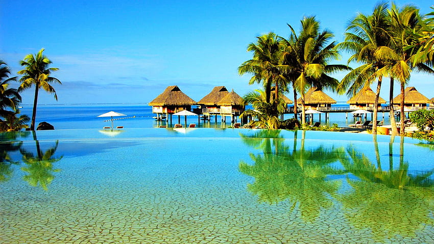 Exotic Beach - Exotic Beach - & Background, Green Exotic HD wallpaper