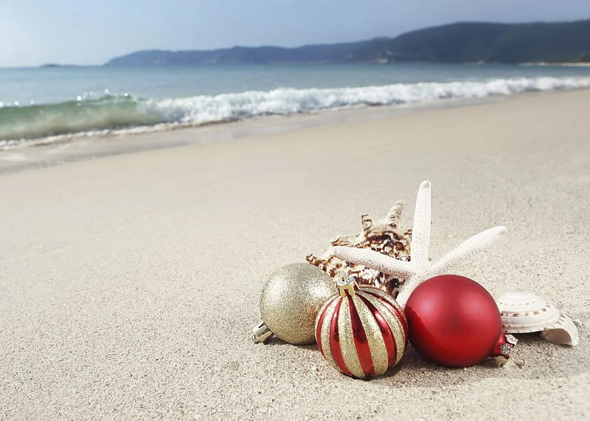 Christmas Beach Ornaments. Beach christmas card, Beach christmas, Christmas Tree Beach HD wallpaper