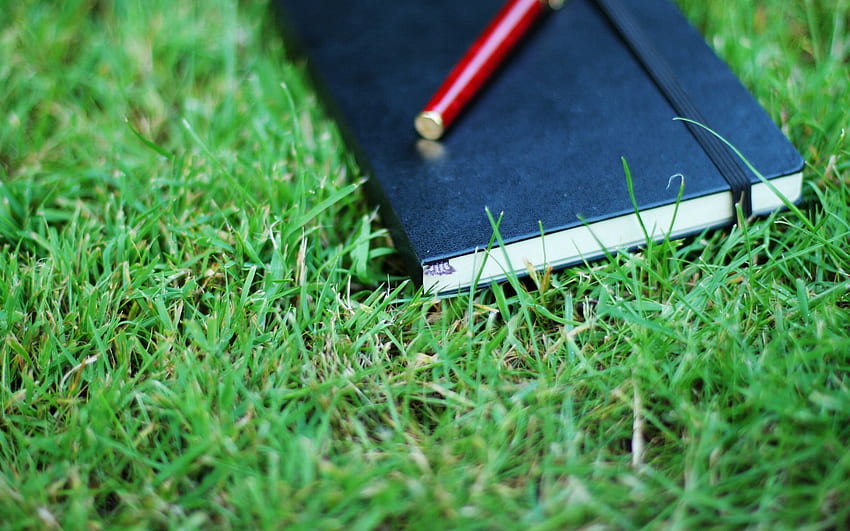 Grass, , , Greens, Notebook, Notepad, Pen HD wallpaper