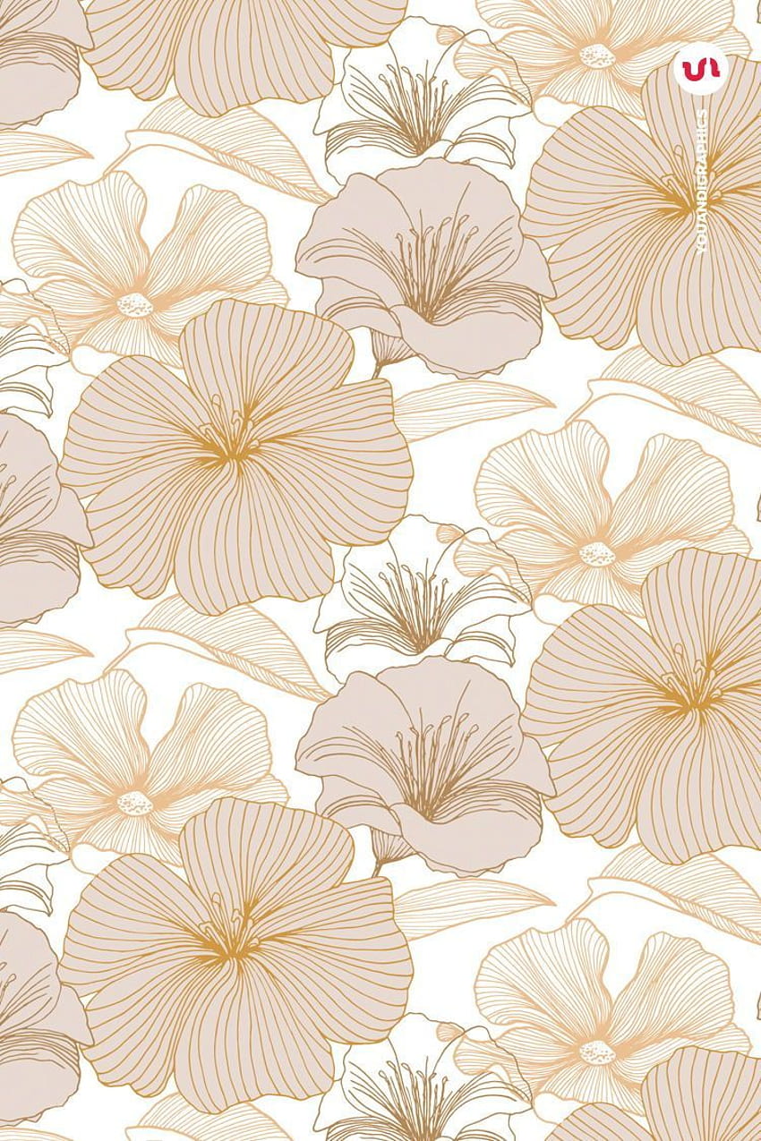 Blumenhintergrund, digitales Papier, handgezeichnet, elegante Blume HD-Handy-Hintergrundbild