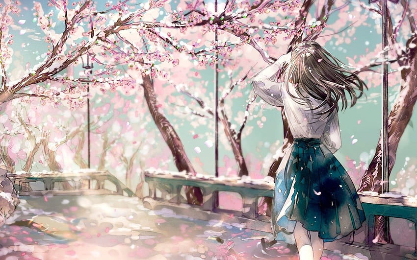 Cherry Blossom, Sakura, Anime Girl, Back View - Sakura Anime Cherry Blossom Tree - & Background HD wallpaper