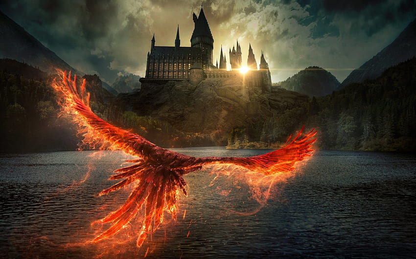 Fantastik Canavarlar Dumbledore'un Sırları, Dumbledore, Fantastik, film, Canavarların Sırları HD duvar kağıdı