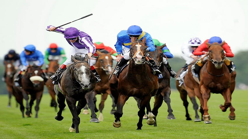 HORSE RACING corrida equestre esporte jockey cavalos papel de parede HD