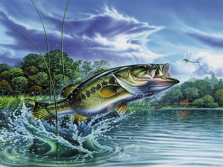 Bass my fish kiss HD wallpaper  Peakpx
