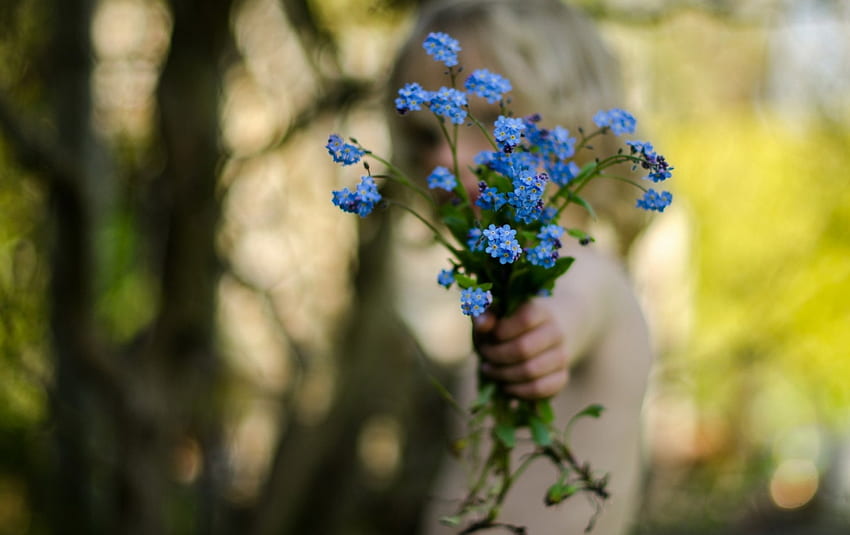 For you!, blue, summer, bouquet, flower, child, hand HD wallpaper