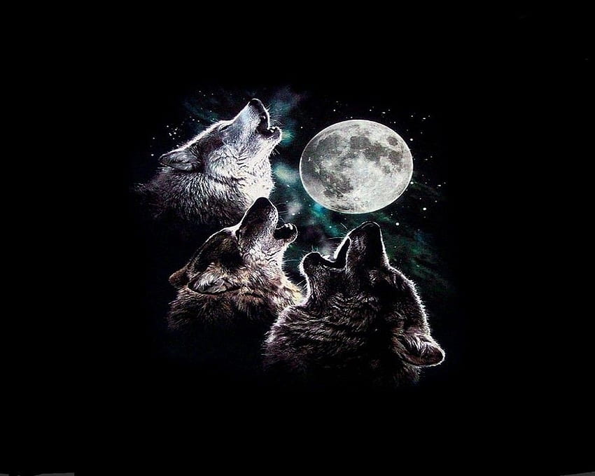 moon moon wolf Quotes [] untuk Anda Wallpaper HD
