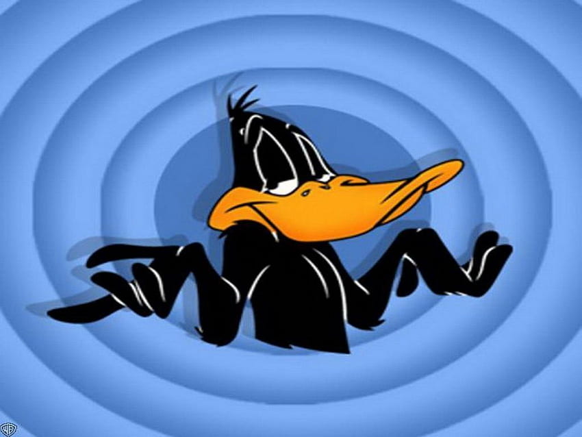 Looney Tunes - Daffy Duck - 7875. Анимационни шеги, Daffy Duck, цитати на Daffy Duck, Funny Duck HD тапет