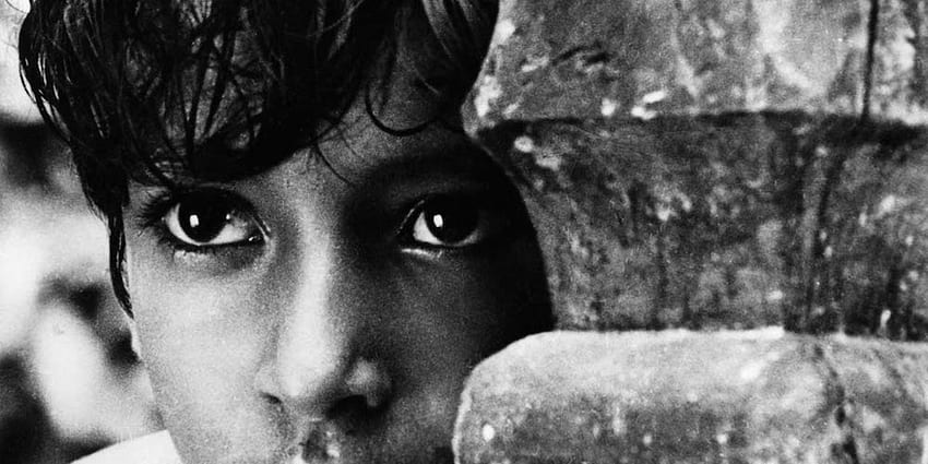 The Apu Trilogy on Notebook, Pather Panchali HD wallpaper