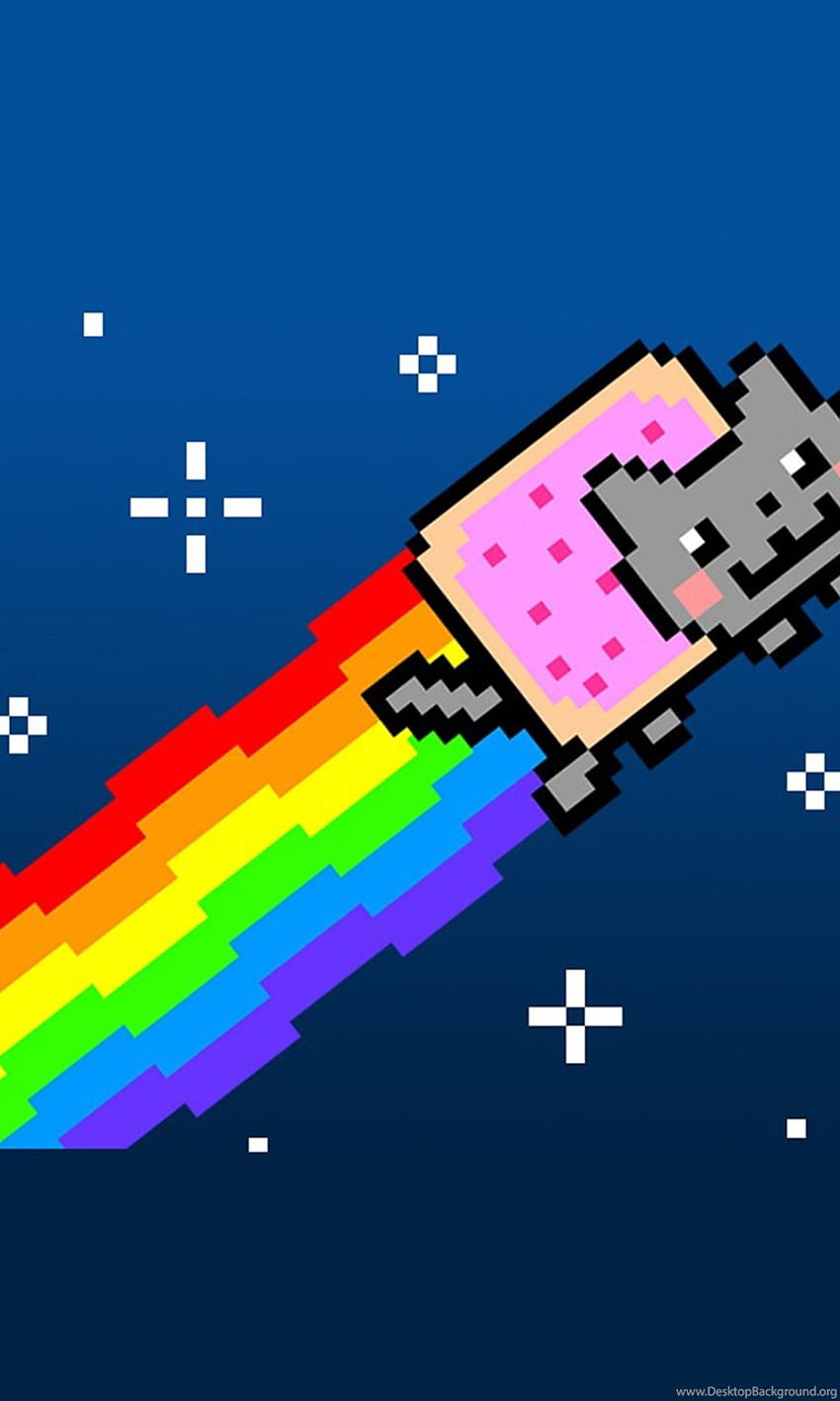 Nyan Cat For Galaxy Background, Real Nyan Cat HD phone wallpaper