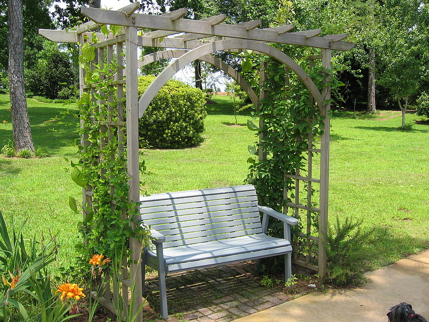 The Bench, bench, garden, beautiful, arbor HD wallpaper