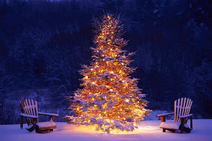 Коледна елха, столове, зима, Коледа, 2017, празник HD тапет
