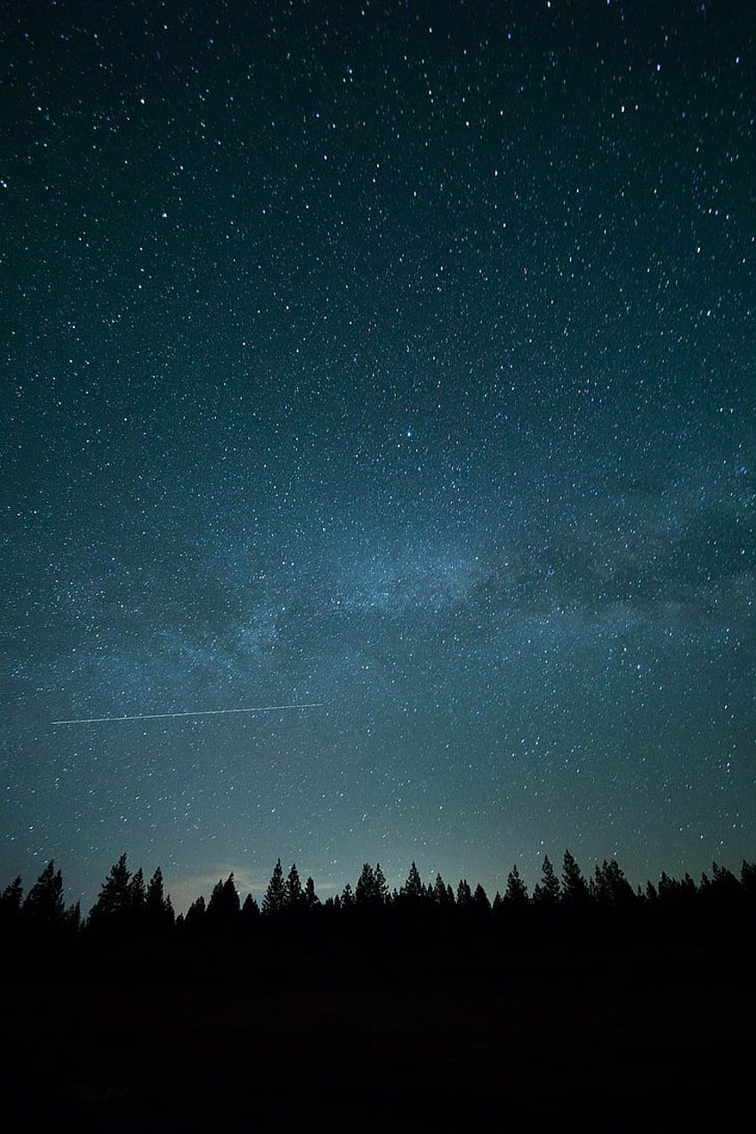 : nature, trees, stars, star - space, night, sky, Astronomy Scene HD phone wallpaper