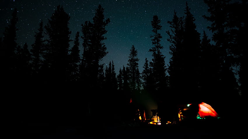 밤, 캠프파이어, 캠핑, 숲 u 16:9 배경, Campfire Night HD 월페이퍼