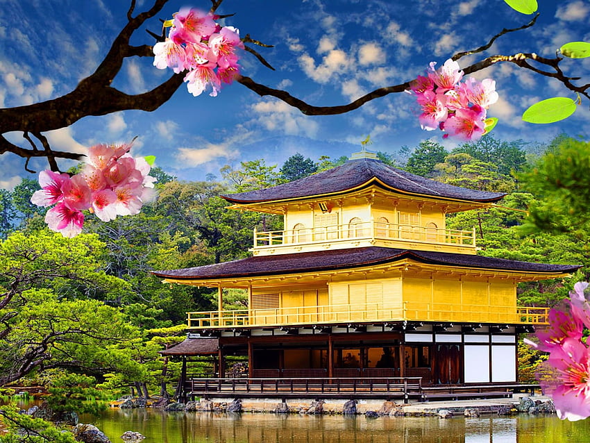 Golden Pavilion Kinkaku Ji Wide HD wallpaper
