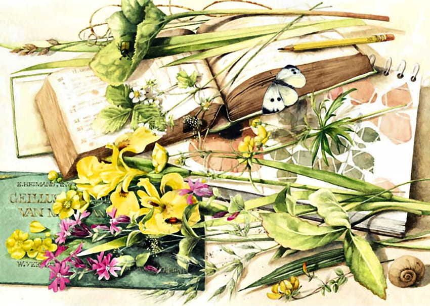 Пролетен дневник, изкуство, цветя, красиво, романтика, илюстрация, красота, произведение на изкуството, широк екран, , пеперуда, цвете, любов, природа, дневник HD тапет