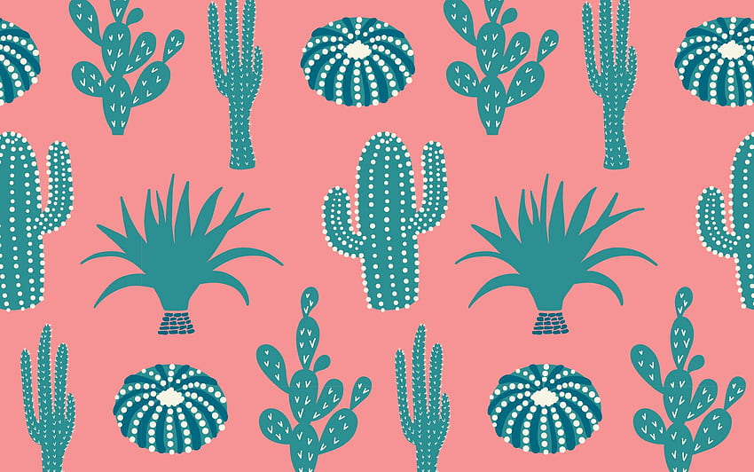 Cactus Background, Pink Cactus HD wallpaper