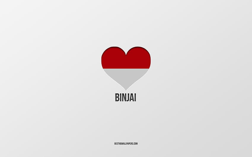 I Love Binjai, Indonesian cities, Day of Binjai, gray background, Binjai, Indonesia, Indonesian flag heart, favorite cities, Love Binjai HD wallpaper