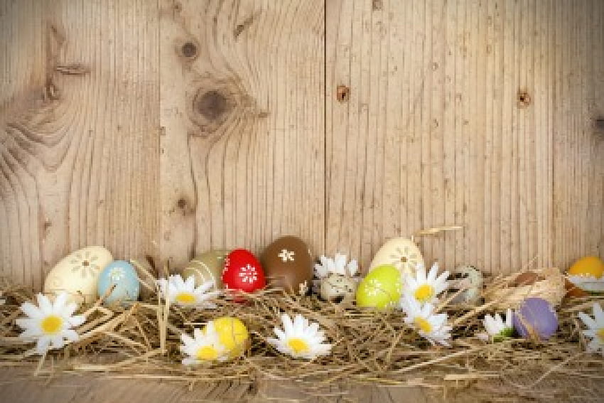 Easter Time, wood, camomile, easter, flowers, eggs HD wallpaper