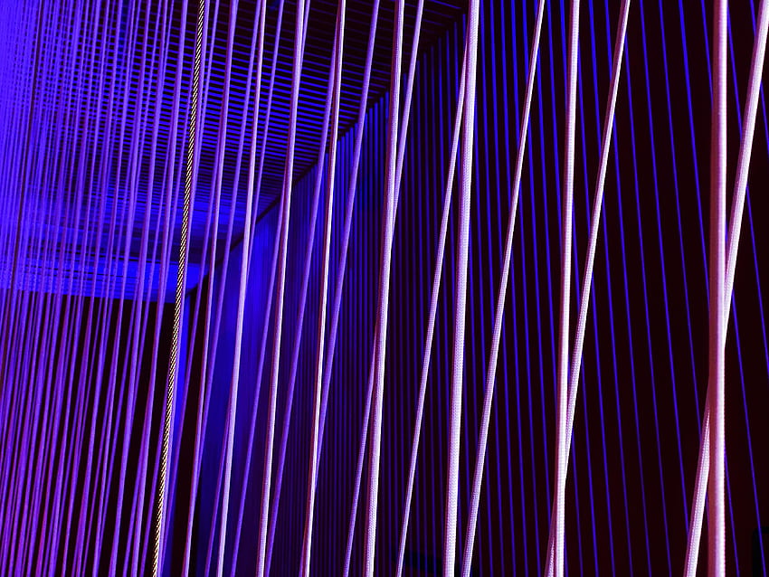 Violet, Shine, Light, , , Lines, Neon, Stripes, Streaks, Purple HD wallpaper