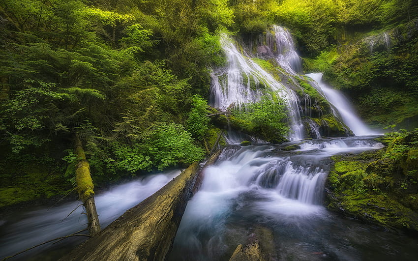 Panther Creek Falls, cachoeira, Columbia River Gorge, floresta, montanha cachoeira, Gifford Pinchot National Forest, Estado de Washington, EUA papel de parede HD