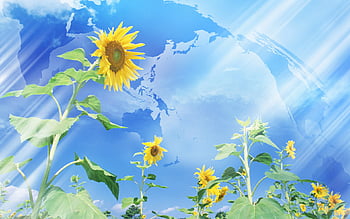 Hình nền Mac Sunflower sẽ mang lại cho bạn cảm giác vui vẻ và ấm áp. Tận hưởng không khí tràn ngập nắng và hoà mình vào cảnh đẹp đến ngỡ ngàng với hình nền Mac Sunflower.