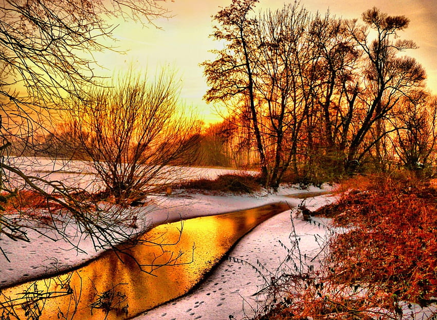 L'hiver arrive, l'hiver, les arbres, la rivière, la neige Fond d'écran HD