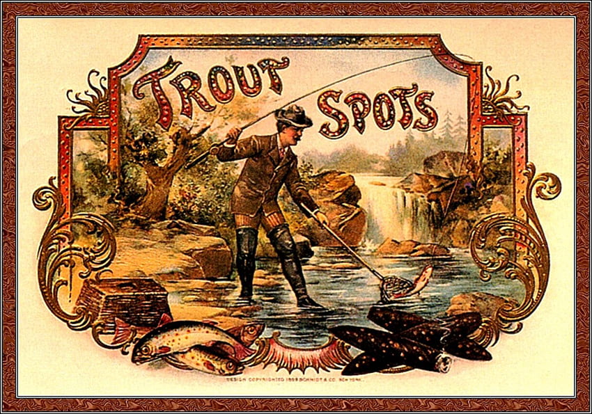 Trout Spot's, flok art, uomo, caduta, altro, pesce, lago, trota, scatola di sigari Sfondo HD