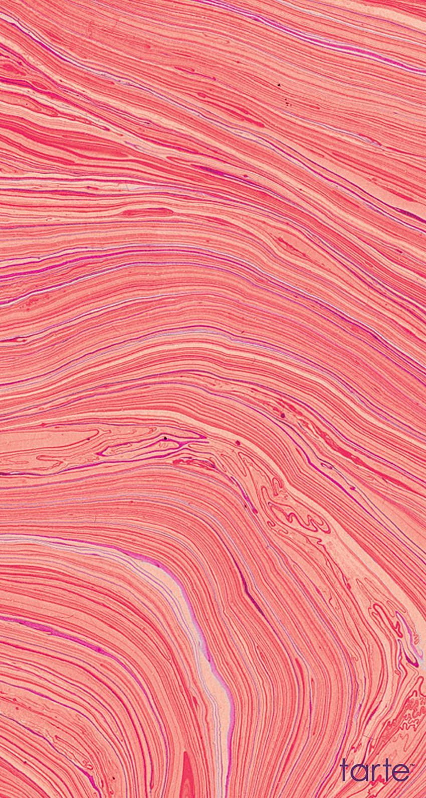 Tipsy. Coral , Abstract iphone , Colorful HD phone wallpaper