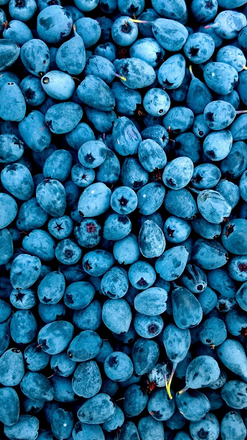abundance, fruit, blueberries, iphone 7, iphone 8, , background, 8926 HD phone wallpaper