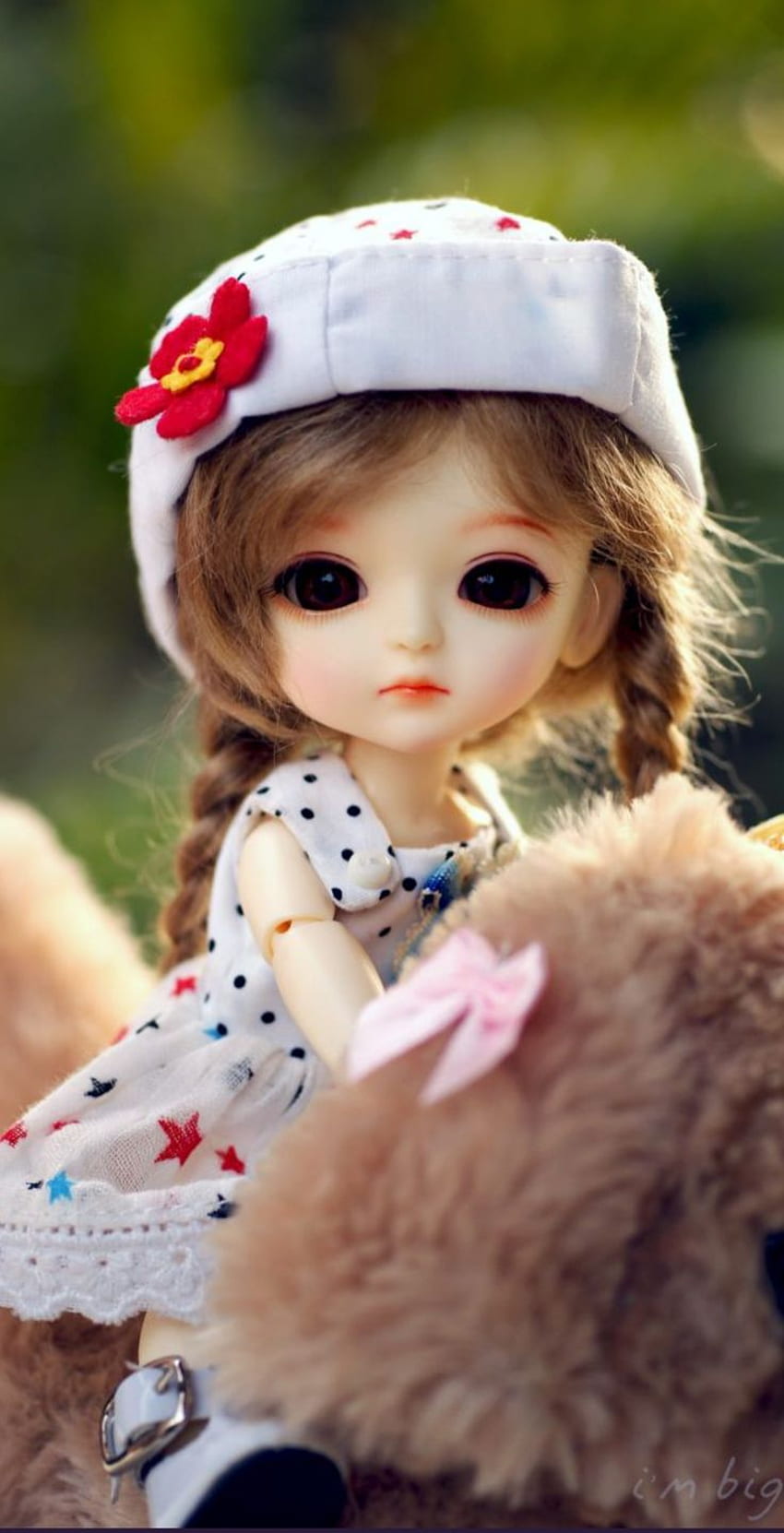 Beautiful store beautiful doll