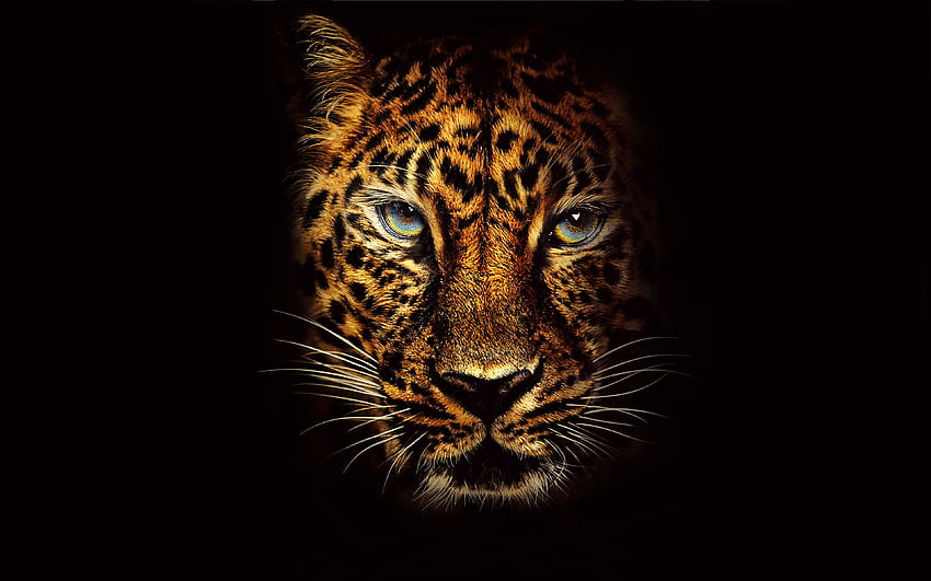 Leopard, predator, Jumanji: Welcome to the Jungle, muzzle HD wallpaper