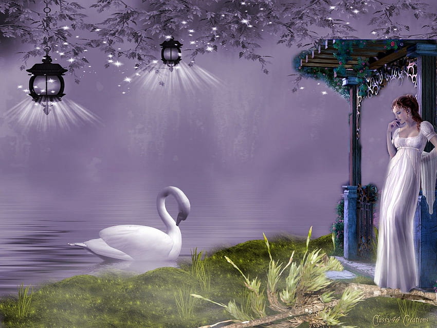 Her Secret Admirer, purple, white, swan, fantasy HD wallpaper