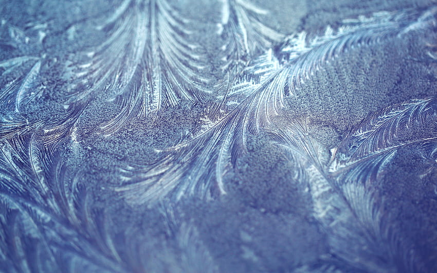 frost blue texture, frost patterns texture, blue frost background, frost patterns, ice background for with resolution . High Quality HD wallpaper