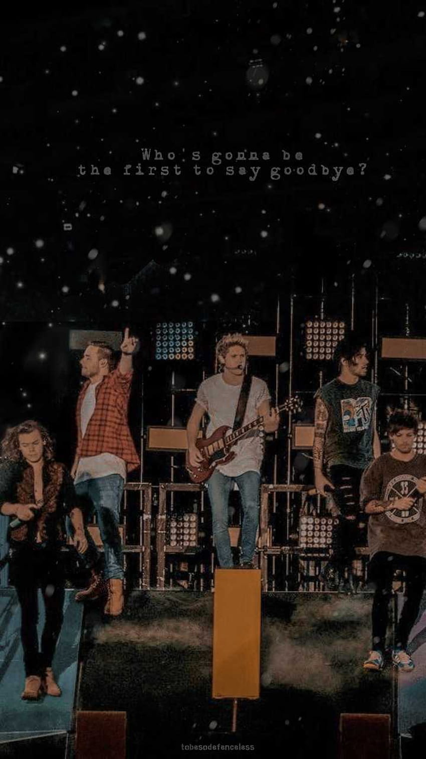 One Direction, One Direction Concert HD phone wallpaper