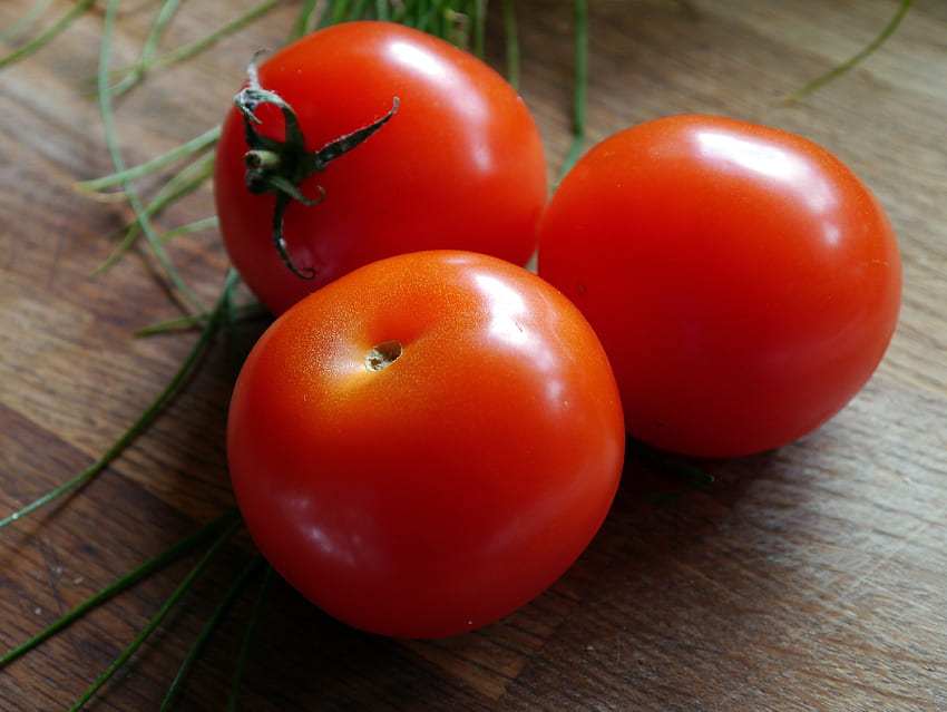 Food, Ripe, Tomatoes, Vegetable HD wallpaper