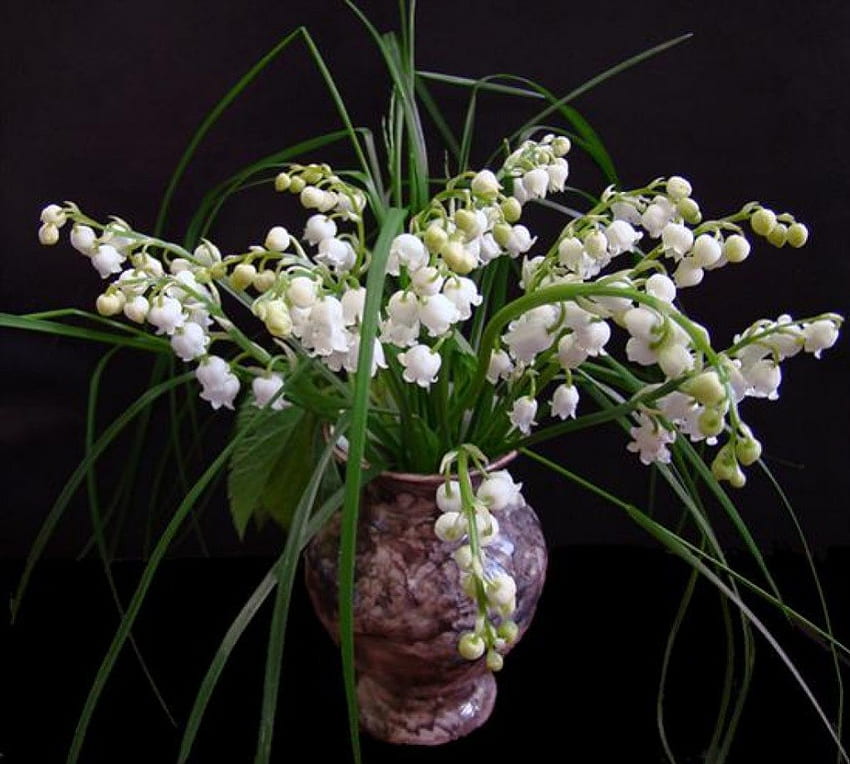 Fleurs de printemps, blanc, fond noir, vase à fleurs, fleurs, printemps Fond d'écran HD