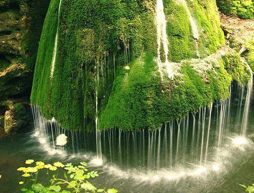 Belle cascade, eau brillante, verte, cascade, nature, fleurs jaunes, claires, rochers Fond d'écran HD