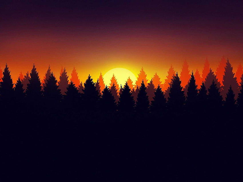 Wald am frühen Morgen (), 1600 x 1200 HD-Hintergrundbild