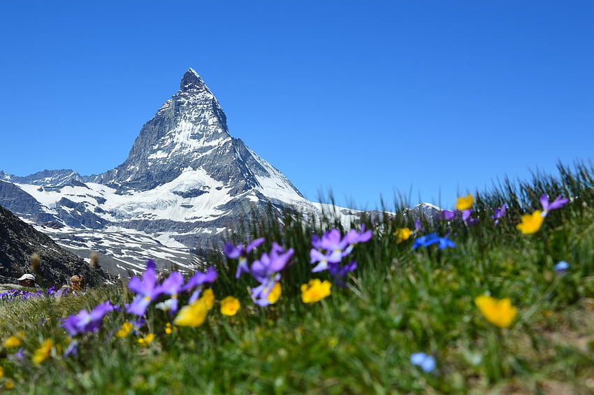 Natura, Montagne, Alpi, Svizzera, Zermatt, Cervino Sfondo HD